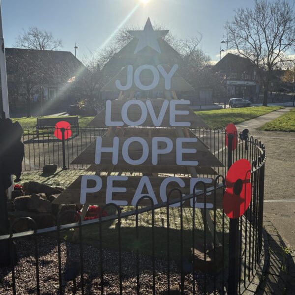 Advent Tree - Bespoke